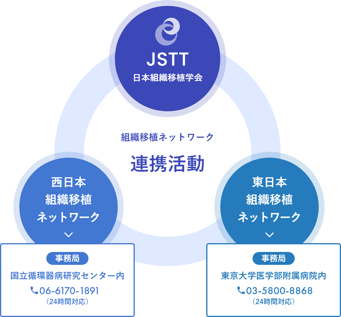 日本組織移植学会と西日本組織移植ネットワークと東日本組織移植ネットワークとの連携活動イメージ